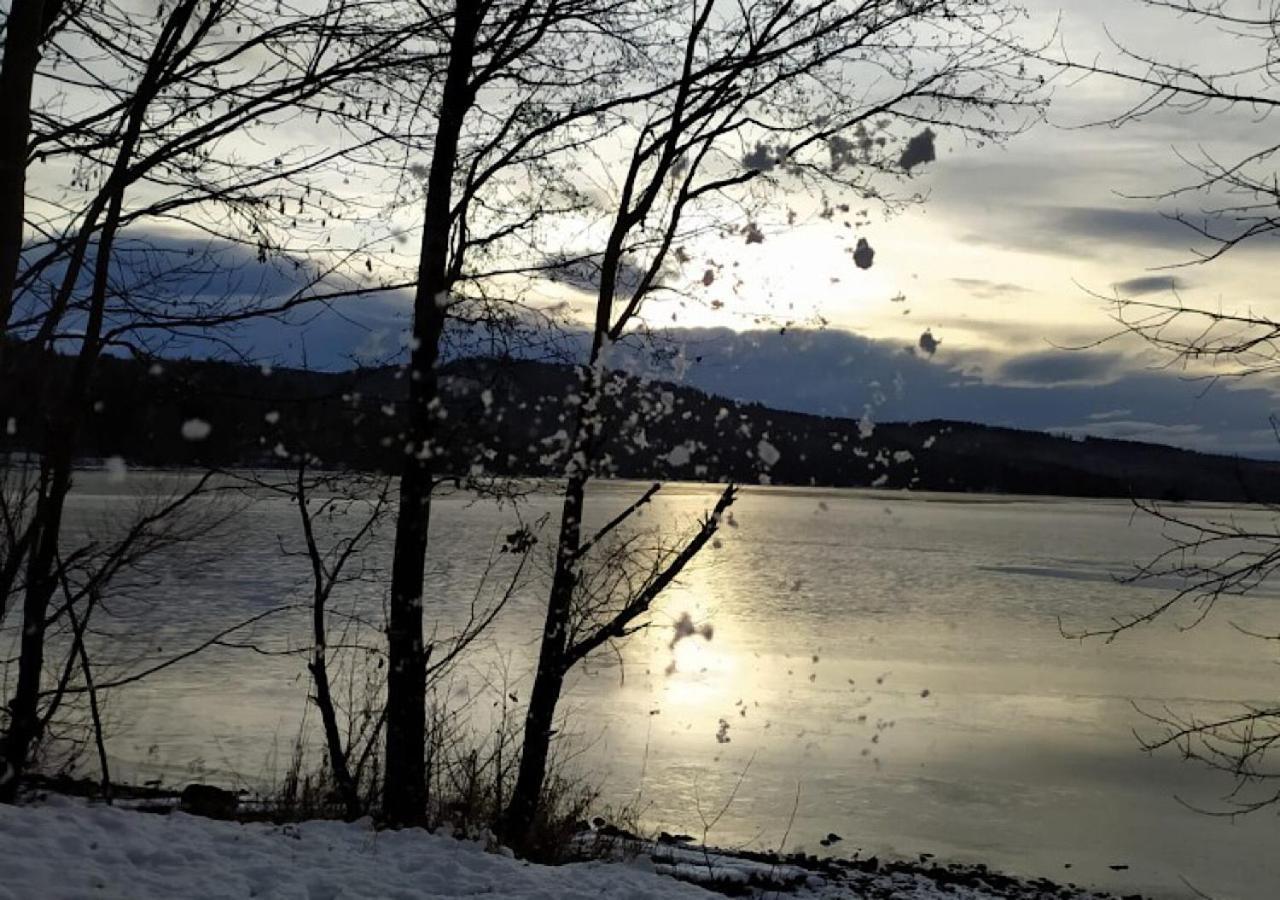 فندق Lipno Pearl ليبنو ناد فلتافو المظهر الخارجي الصورة