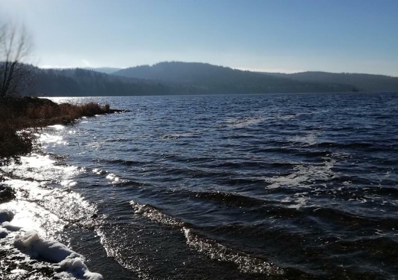 فندق Lipno Pearl ليبنو ناد فلتافو المظهر الخارجي الصورة