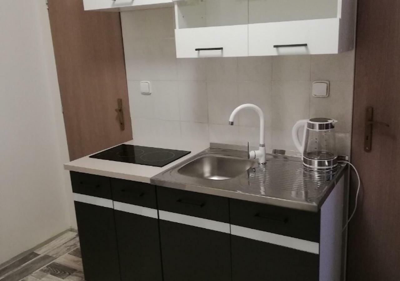 فندق Lipno Pearl ليبنو ناد فلتافو المظهر الخارجي الصورة