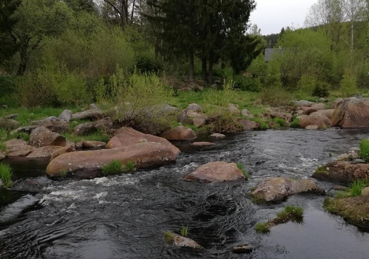 فندق Lipno Pearl ليبنو ناد فلتافو المظهر الخارجي الصورة